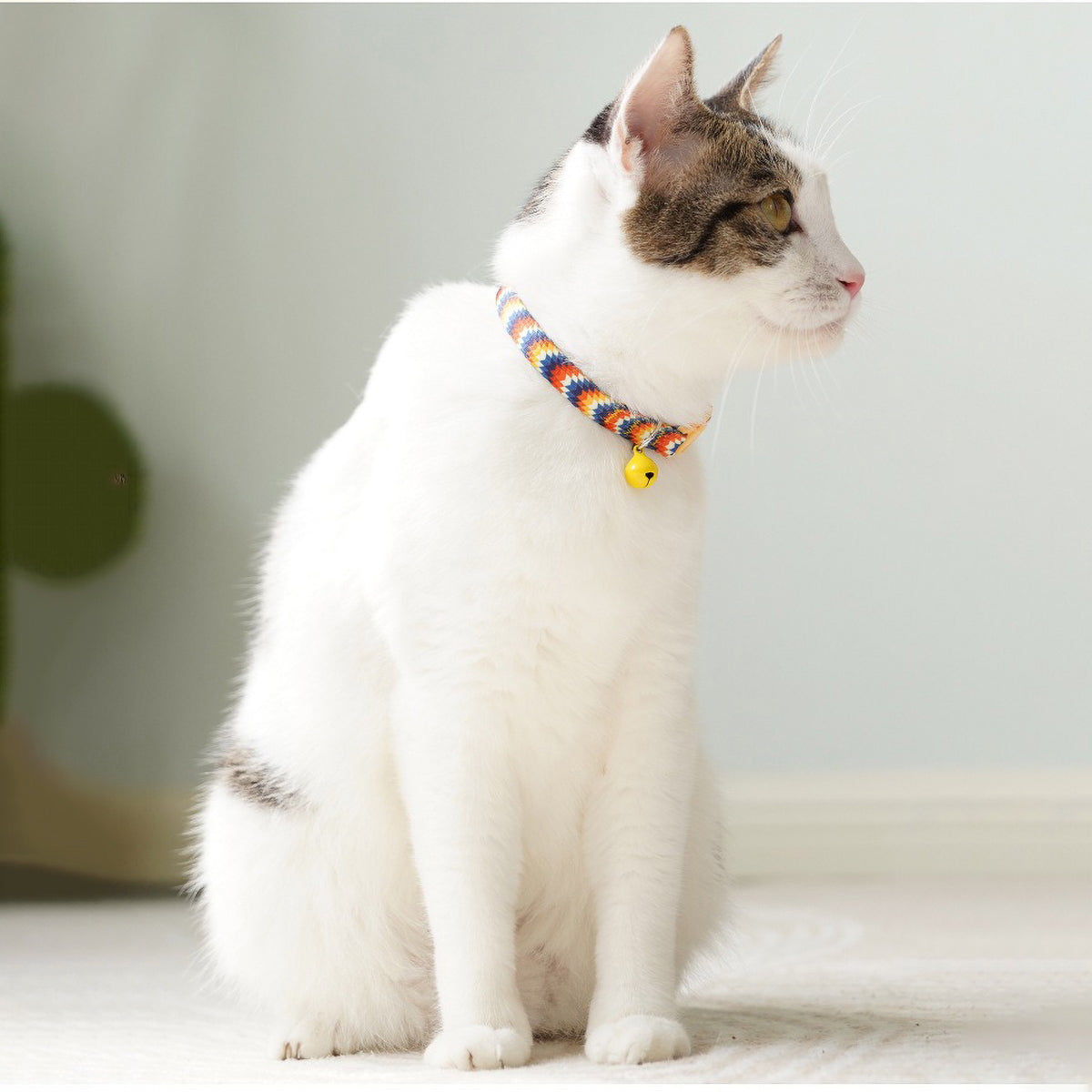 Collier chat multicolore avec clochette, adapté pour chien et laisse assortie.