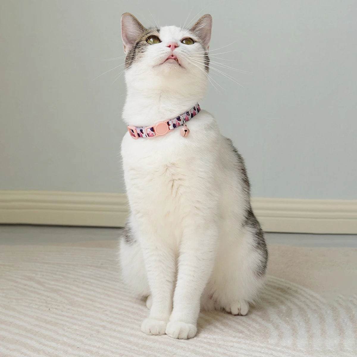 Chat blanc avec collier coloré motifs forêt tropicale, sans laisse ni gamelle visibles.