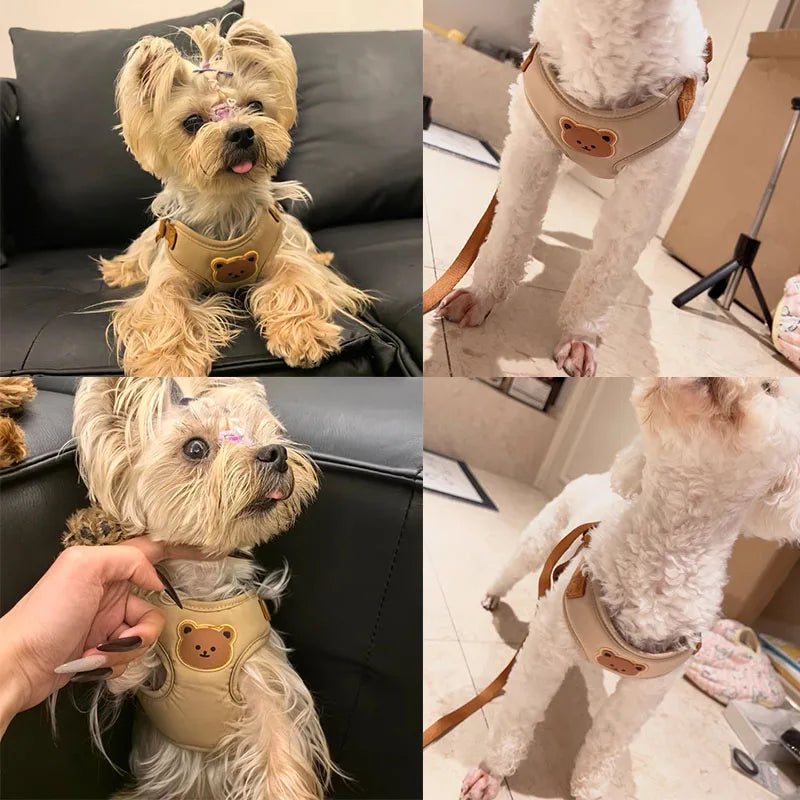 Harnais chien - Beige Bear