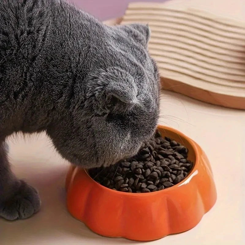 Gamelle en céramique orange en forme de citrouille contenant croquettes pour chien avec un chat gris.