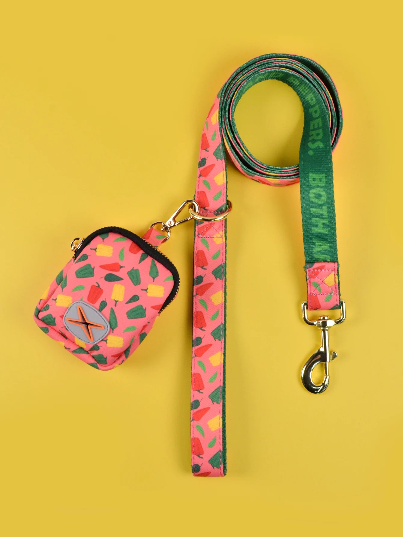 Laisse pour chien colorée avec sac de gamelle assorti et collier intégré.