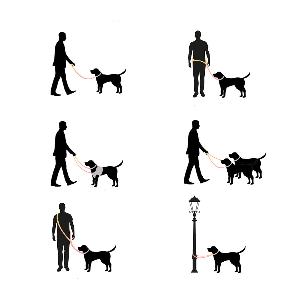 Laisse double rouge pour chien avec collier assorti, promenade à deux chiens.