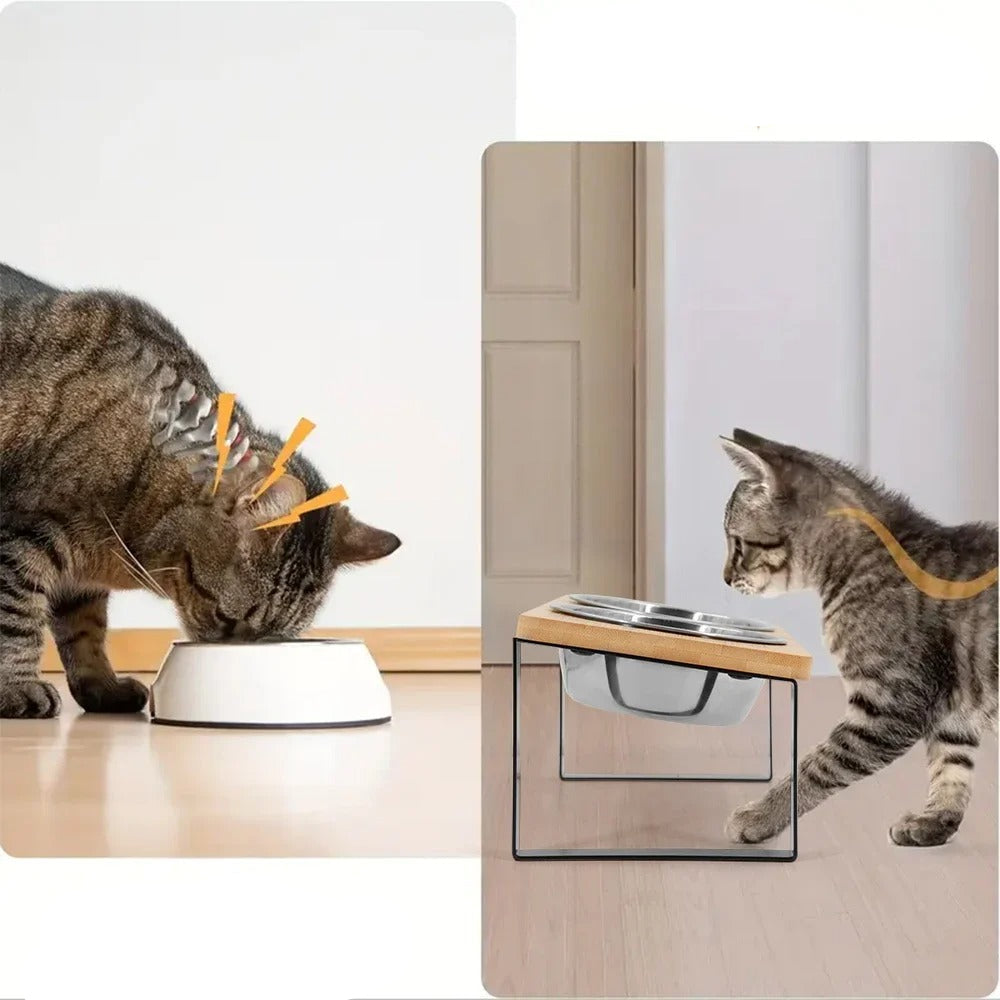 Gamelle chien et chat surélevée design bois avec chat mangeant à côté d'un autre chat curieux.