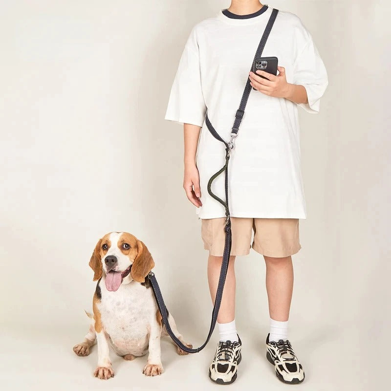 Laisse noire double attachée à collier sur chien assis à côté de personne en tenue décontractée.