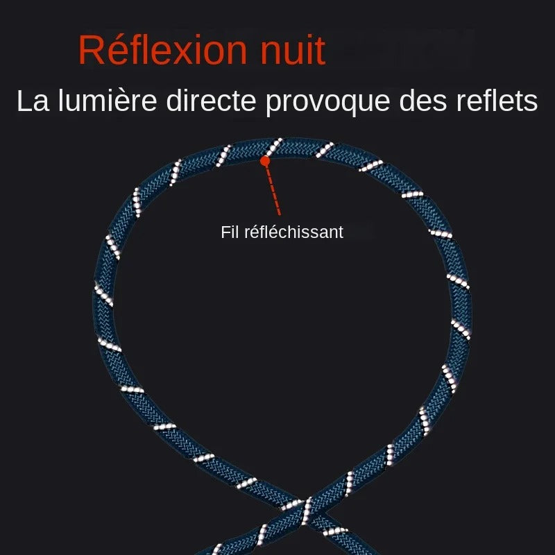 Laisse double en corde bleue avec fil réfléchissant pour chien, collier inclus.