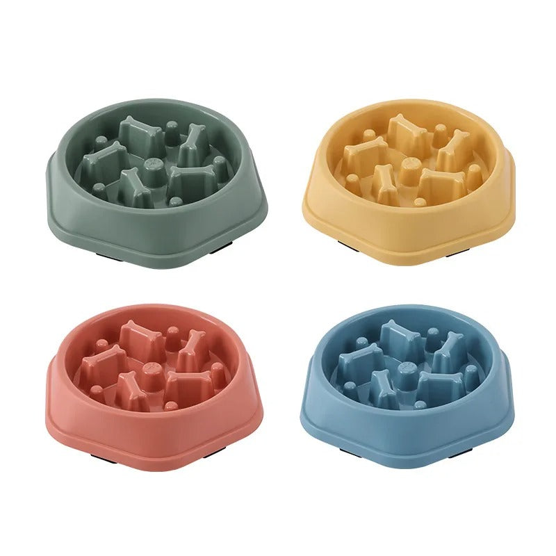 Gamelles anti-glouton Bones en plastique jaune, bleu, kaki et rose pour chien avec collier et laisse assortis.