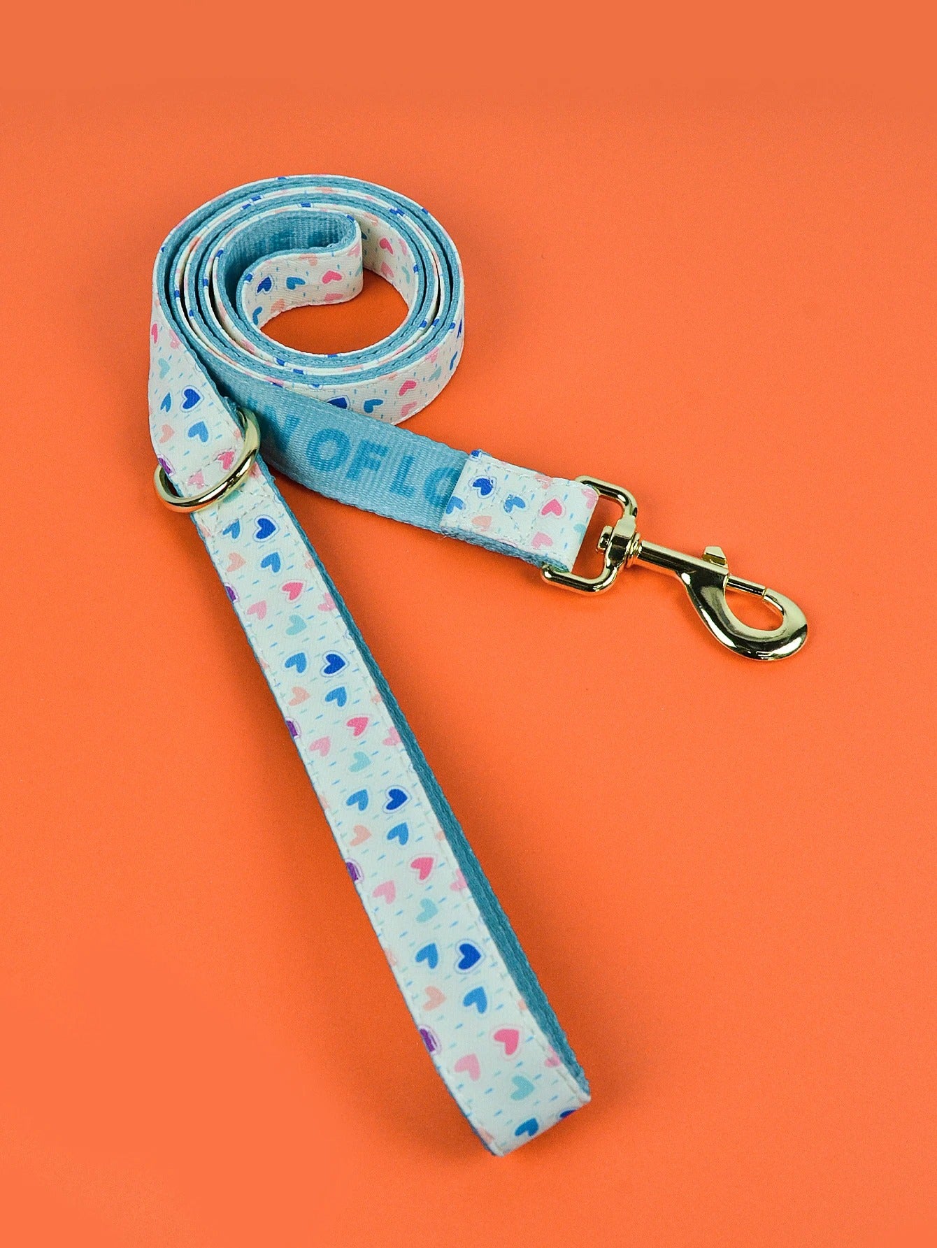 Laisse corde chien bleu clair avec motifs cœurs et mousqueton métal doré.