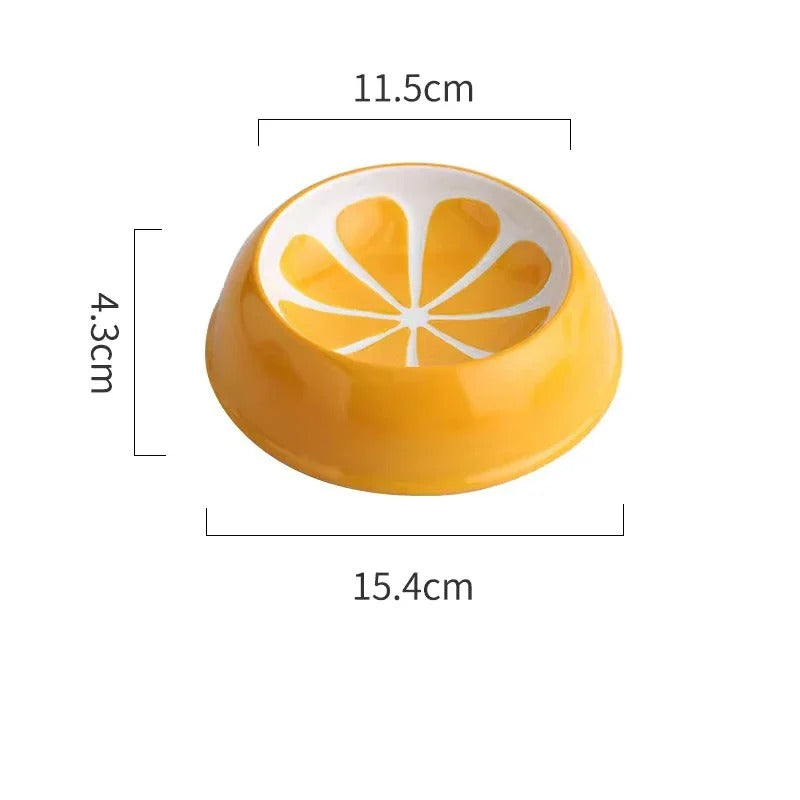 Gamelle en céramique orange avec motif agrume, pour chien, accompagne laisse et collier.